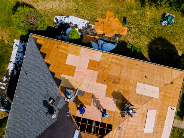 Best Roof Gutter Cleaning  in Waterbury, CT